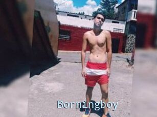 Borningboy