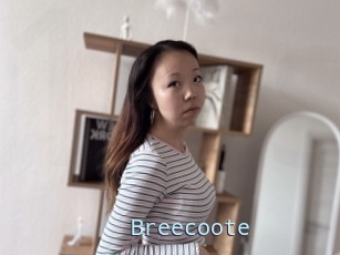 Breecoote