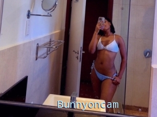 Bunnyoncam