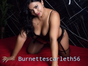 Burnettescarleth56