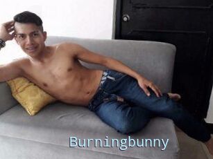Burningbunny