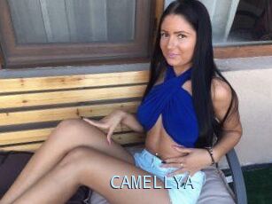 CAMELLYA_