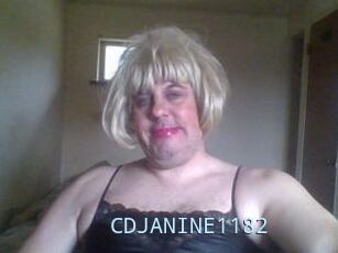 CDJANINE1182