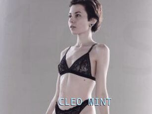 CLEO_MINT