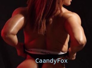 CaandyFox