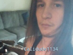 Calidude1134