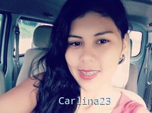 Carlina23