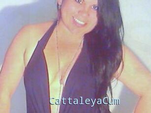 CattaleyaCum