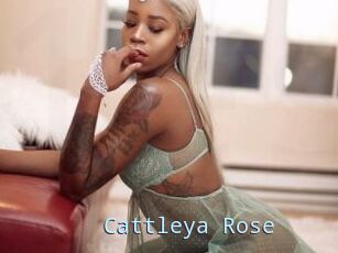Cattleya_Rose