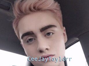 CeeJayTaylorr