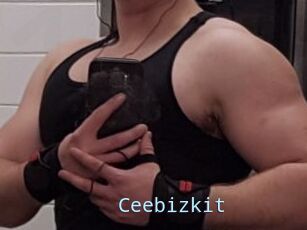 Ceebizkit