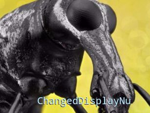 ChangedDisplayNu