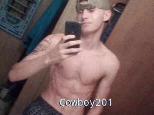 Cowboy201