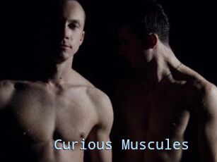 Curious_Muscules
