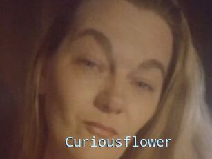 Curiousflower