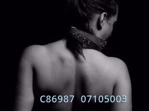 C86987-07105003