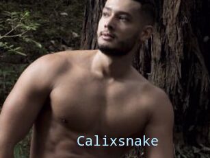 Calixsnake