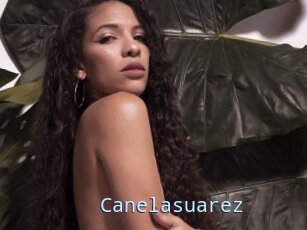 Canelasuarez