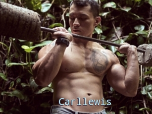 Carllewis
