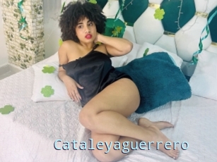 Cataleyaguerrero