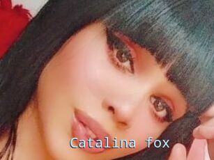 Catalina_fox