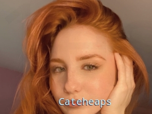 Cateheaps