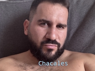 Chacales