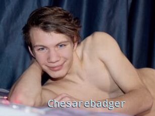 Chesarebadger