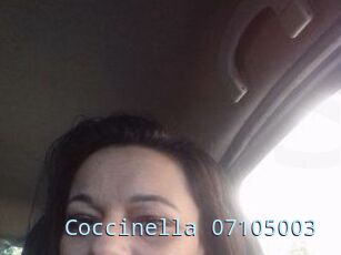 Coccinella-07105003