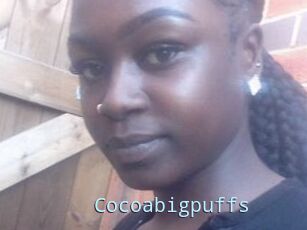 Cocoabigpuffs