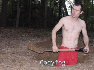 Codyfog