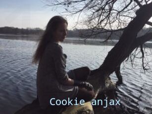 Cookie_anjax