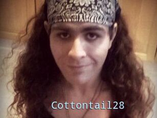 Cottontail28