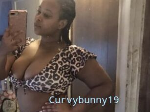 Curvybunny19