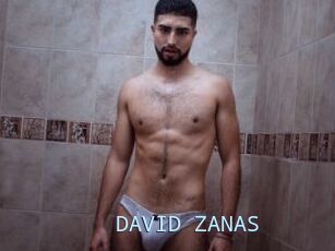 DAVID_ZANAS