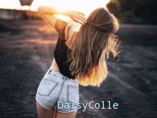 DaisyColle