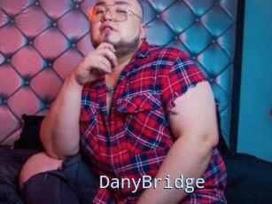 DanyBridge