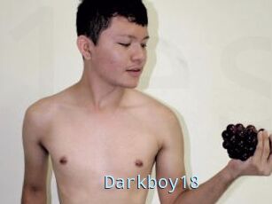 Darkboy18