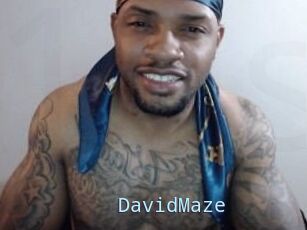 David_Maze