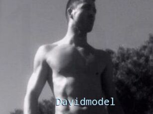 Davidmodel