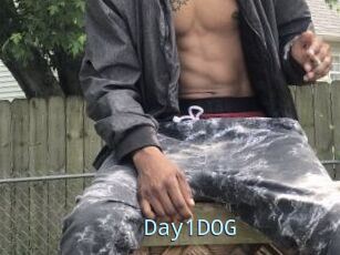Day1DOG