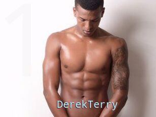 DerekTerry