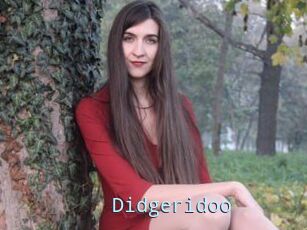 Didgeridoo