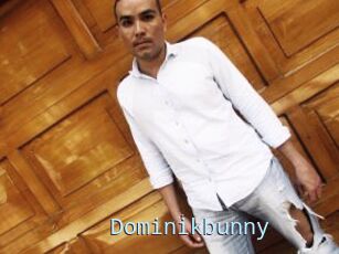 Dominikbunny