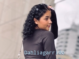 Dahliagarrido
