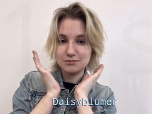 Daisyblumer