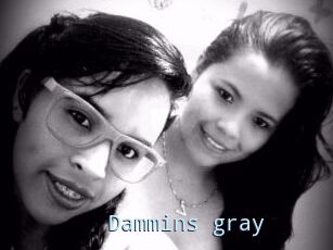 Dammins_gray