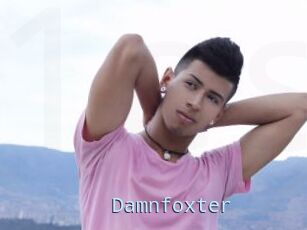 Damnfoxter