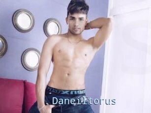Daneil_torus