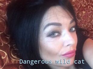 Dangerous_wild_cat